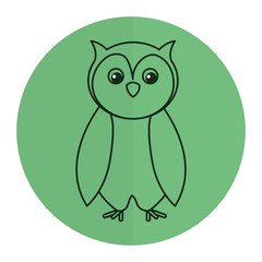 cute and tender owl vector illustration design