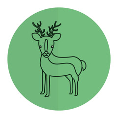 cute and tender reindeer vector illustration design