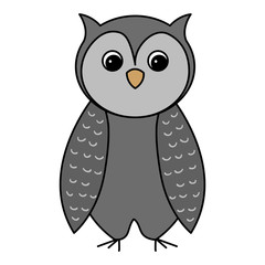 cute and tender owl vector illustration design