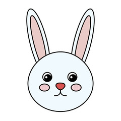 cute and tender rabbit vector illustration design