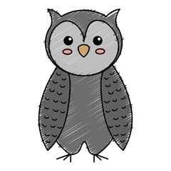 cute and tender owl vector illustration design