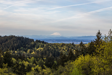 Fototapeta na wymiar Portland Landscape with Mount St Helens in Distance
