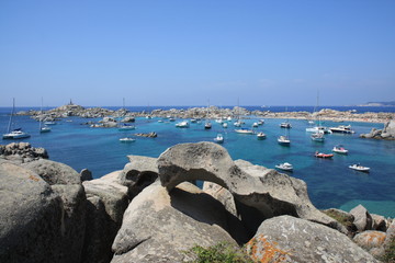 Corse