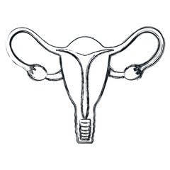 Female reproductive organ icon vector illustration design