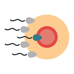 Fertilization of the ovum by the spermatozoon vector illustration design