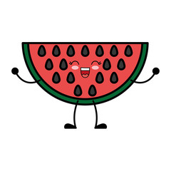 watermelon fruit icon