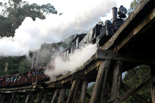 Steam train