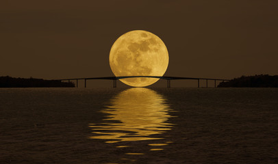 the moon and the bridge