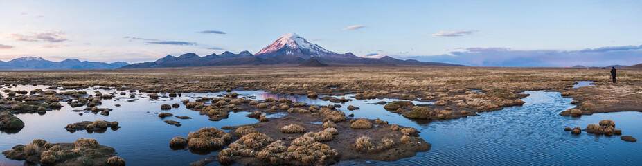 Nature of Altiplano