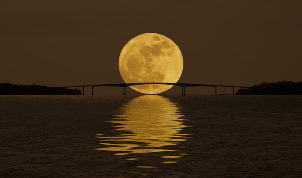 The Moon And The Bridge