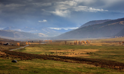 Obraz premium Lamar Valley jesienią