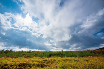 Fototapeta na wymiar Nature, clouds and field.