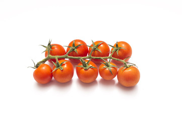 Cherry tomato isolate