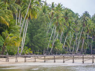 Large leaning palm trees on a beach on Ko Kut island, Thailand