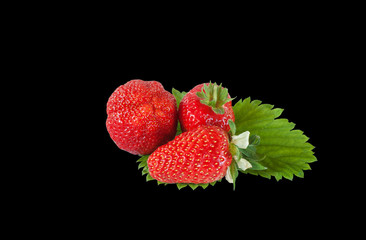 Red ripe strawberries on a green leaf. Isolated on a black background.