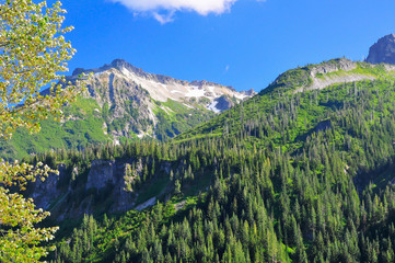 Mt. Rainier National Park, USA