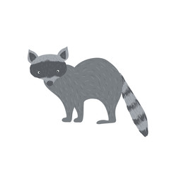Raccoon. Vector illustration