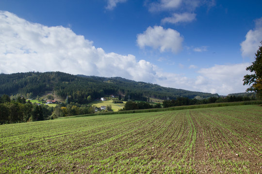 View over a field in the Bavarian forest region