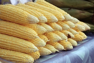 fresh corn at market