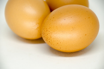 egg on white background