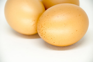 egg on white background