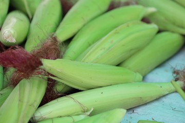 Young corn at market