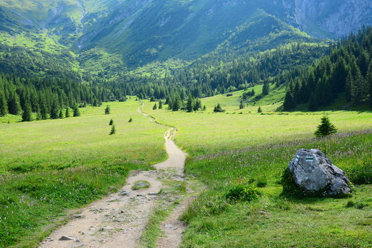 Fototapeta Tatra mountains landscape,Dolina Kondratowa