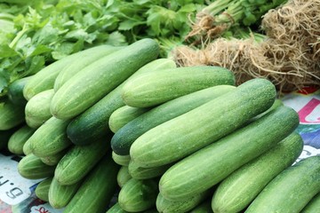 Cucumber at the market