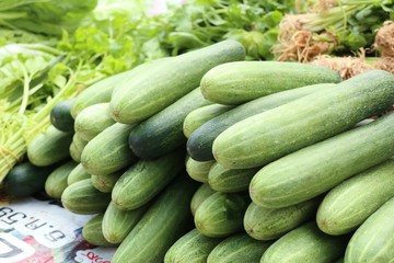 Cucumber at the market