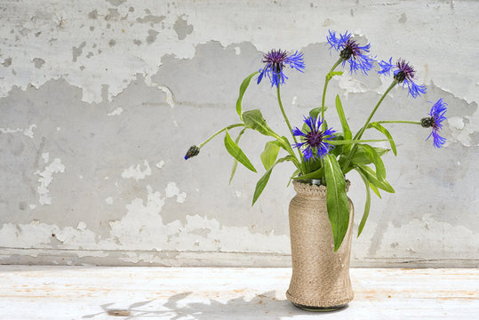 bunch of corn flower in a vase with copy space