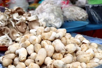 mushroom at street food