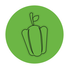 pepper fresh vegetable icon vector illustration design