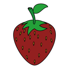 fresh strawberry isolated icon vector illustration design