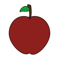 apple fresh fruit icon vector illustration design
