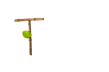 Nature letter T from twig and stick