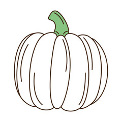 Fresh pumpkin vegetable icon vector illustration design