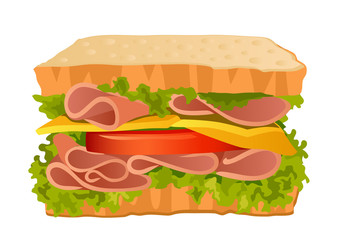 Sandwich on a white background