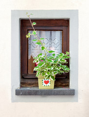 Small home window decorated with flower pot at summer