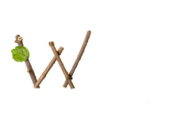 Nature letter W from twig and stick