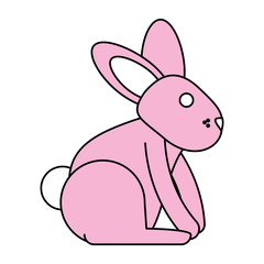 bunny vector illustration