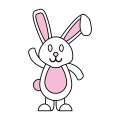 bunny vector illustration
