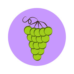 Bunch of green wine grapes flat color icon for food apps and websites. Purple circle
