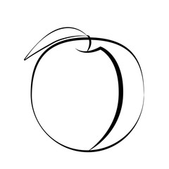Peach fruit with leaf on a white background. White fruit with black stroke. Vector illustration.