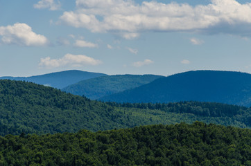 Fototapeta premium Carpathian mountains landscape in Ukraine in the summer season in Yaremche