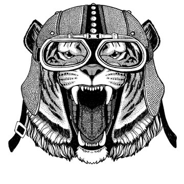 Wild tiger Motorcycle, biker, aviator, fly club Illustration for tattoo, t-shirt, emblem, badge, logo, patch