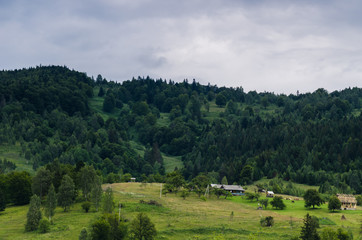 Carpathian mountains landscape in Ukraine in the summer season in Yaremche