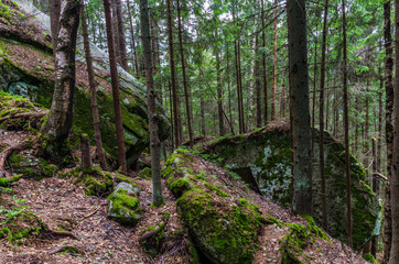Carpathian mountains landscape in Ukraine in the summer season in Yaremche