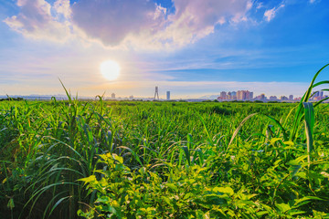 Rural riverside view
