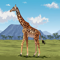 colorful scene african landscape with giraffe standing © Jemastock