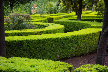  French formal garden